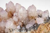 Cactus Quartz (Amethyst) Crystal Cluster - South Africa #207556-5